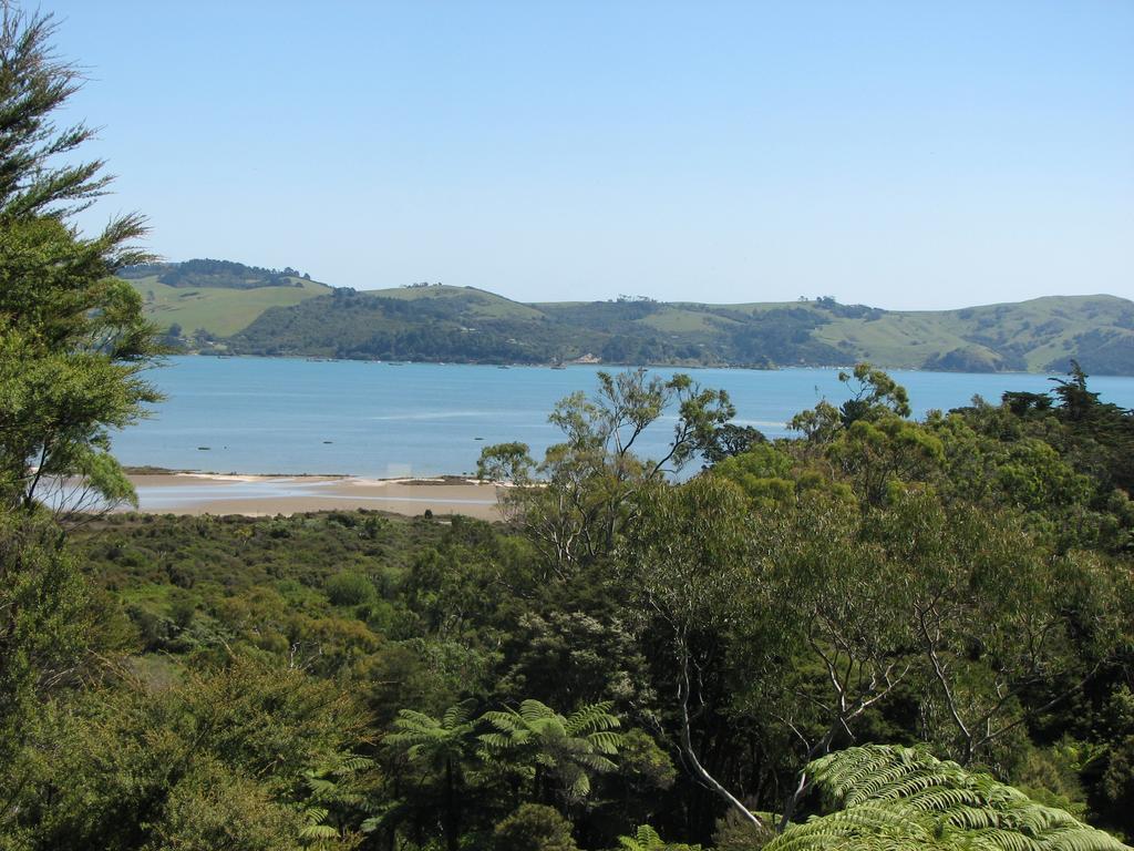 Studio 531 Coromandel Kamer foto