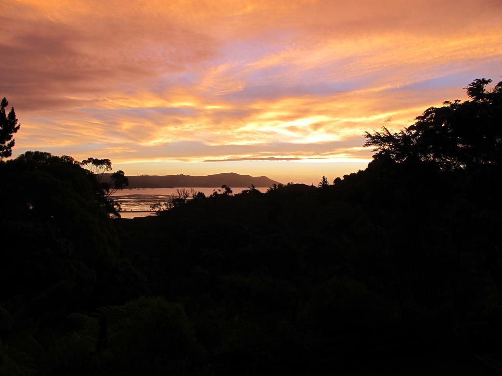 Studio 531 Coromandel Kamer foto